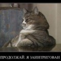 Thmubnail